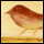 retreats bird