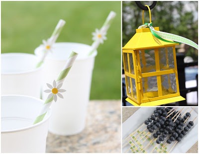 Daisy Straws and Lantern