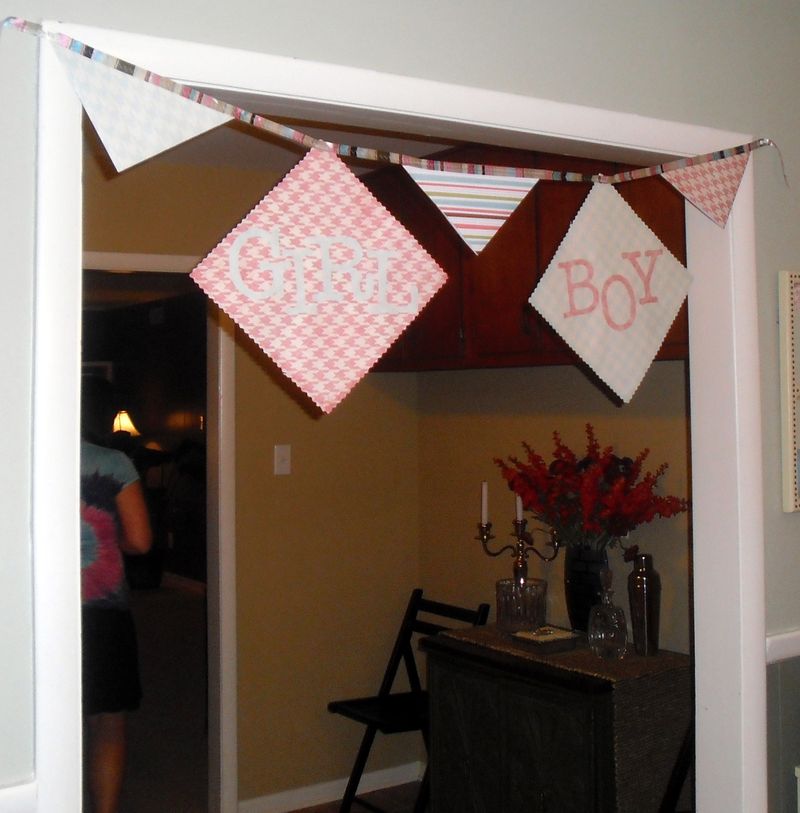 DIY baby gender reveal party banner