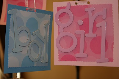 DIY baby gender reveal party blue pink signs