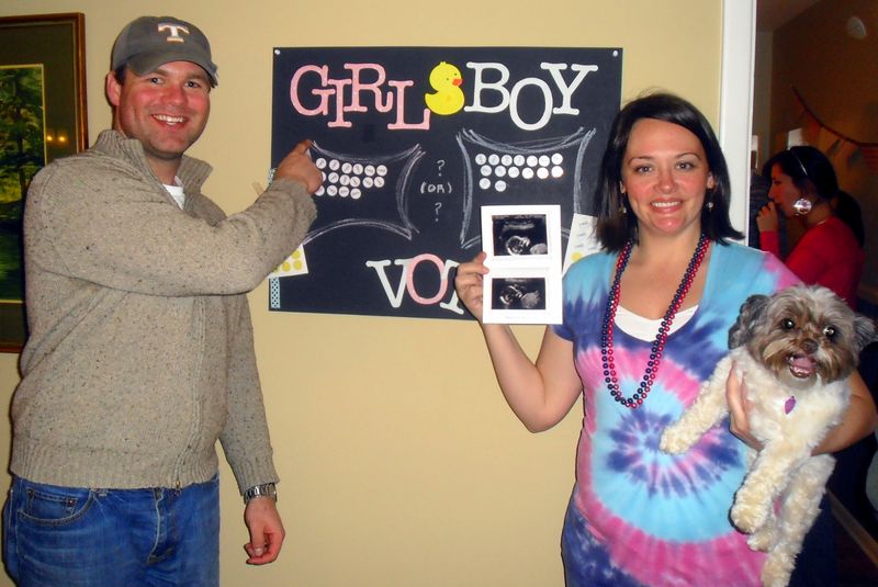 DIY baby gender reveal party its a girl votes