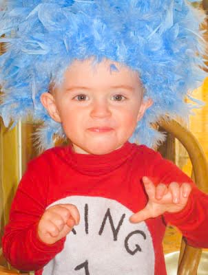 dr seuss birthday party thing 1 twin