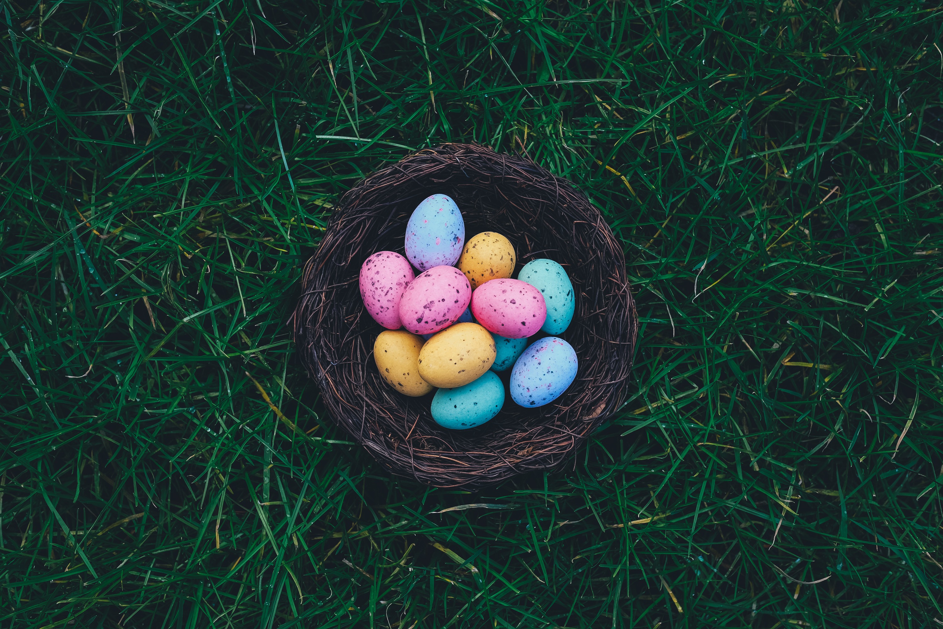 Easter Sunday selfie frame, Egg Hunt decoration, Neighborhood