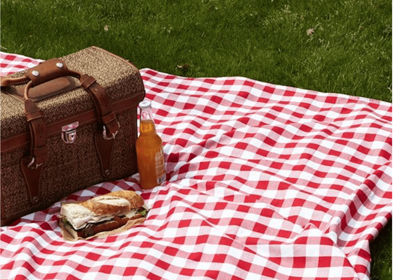 5 Must-Haves for Throwing the Perfect Picnic Party2