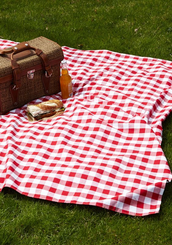 5 Must Haves For Throwing The Perfect Picnic Party Sendo Invitations