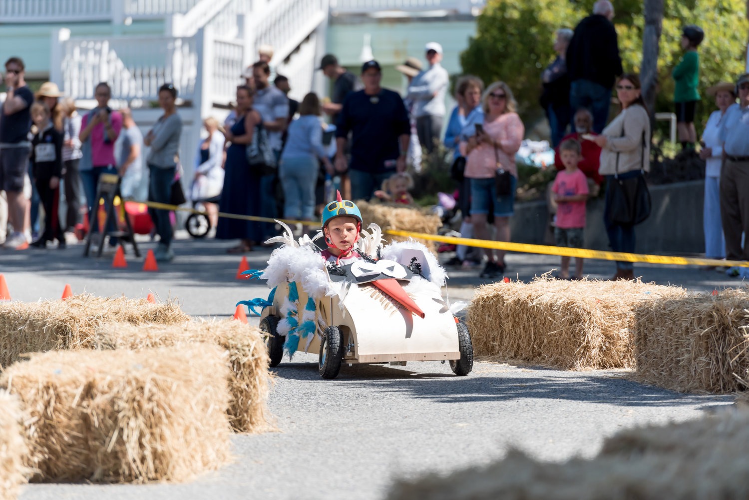 Bird Soapbox