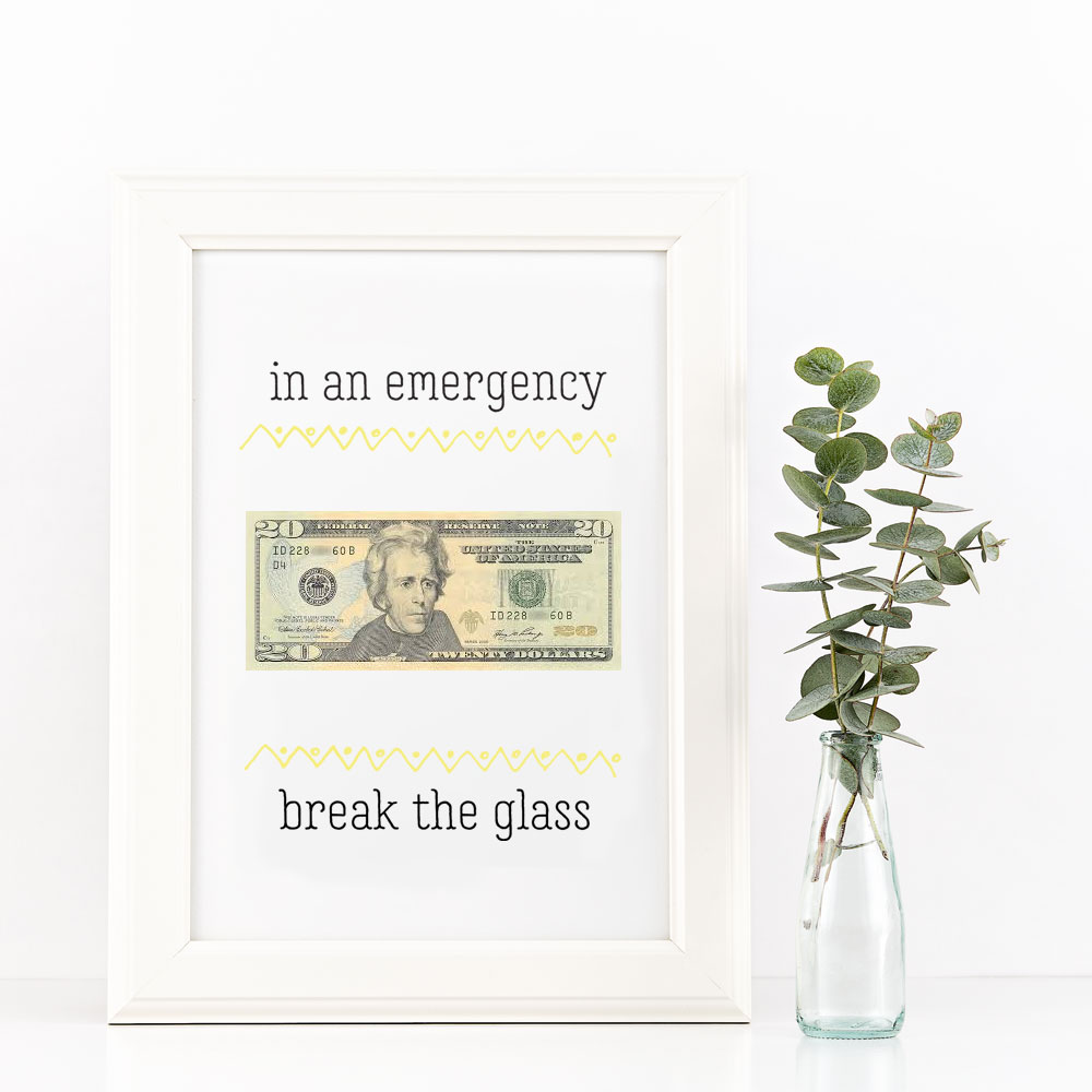 "In an Emergency Break the Glass" Money Frame