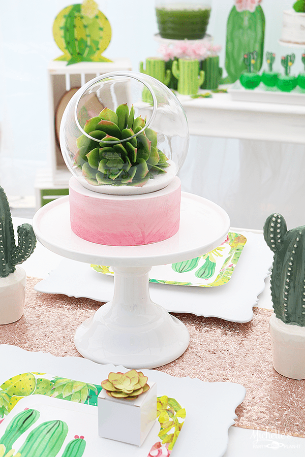 How to Throw a Succulent Themed Summer Party