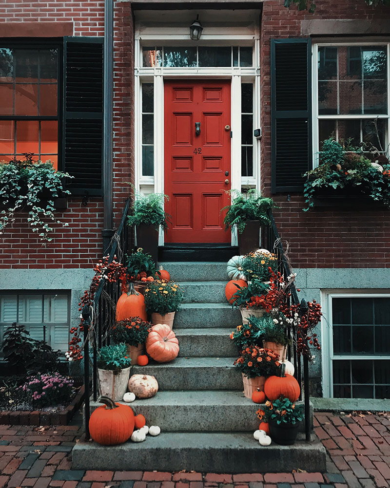 How to be the Most Popular House on Halloween Night | Sendo