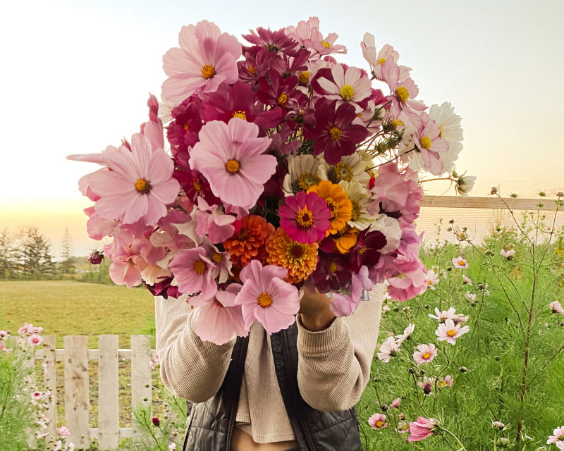 Hand picked flowers for a party | Sendo