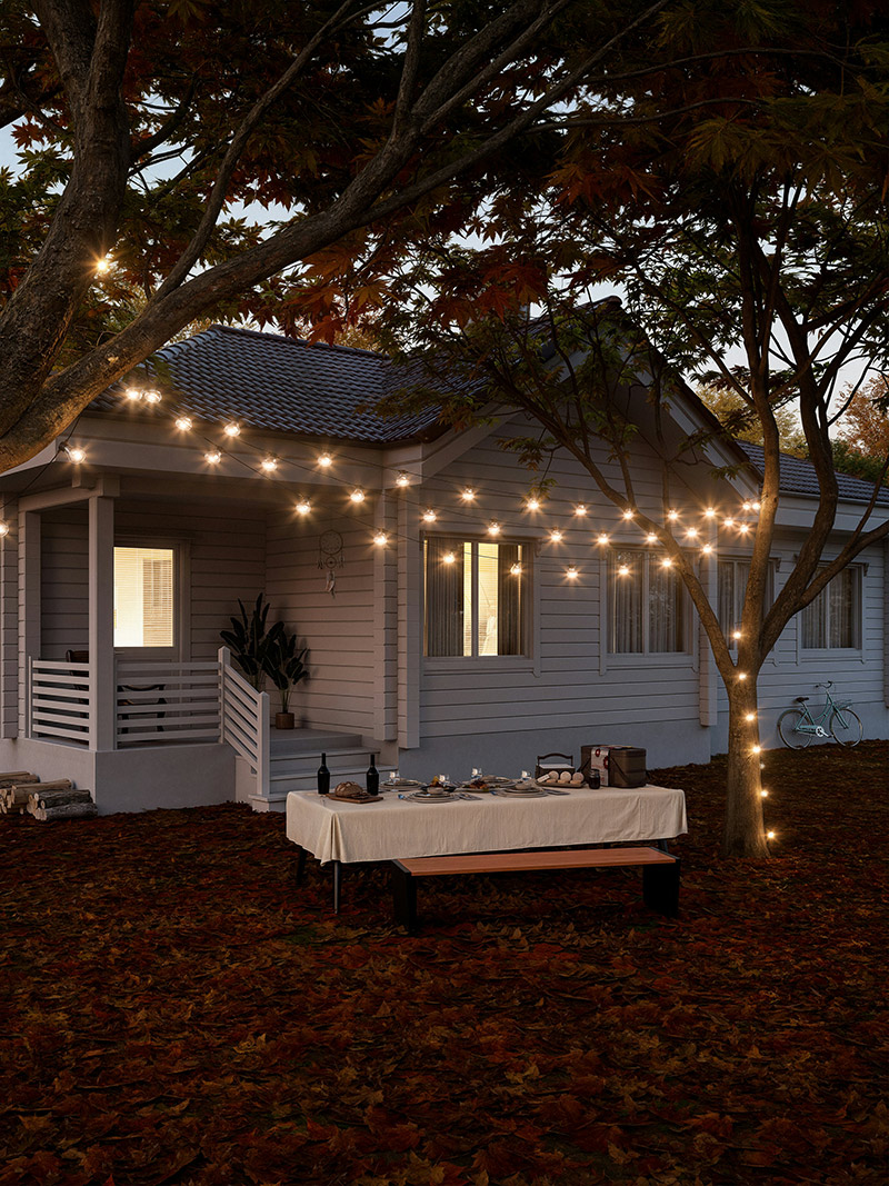 Backyard Party Lighting
