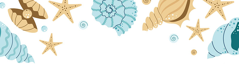 Beach Side Shell Invitation