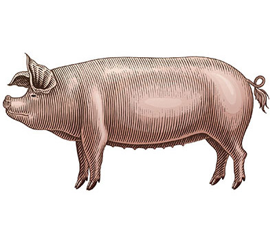 Pig Roast Invitation