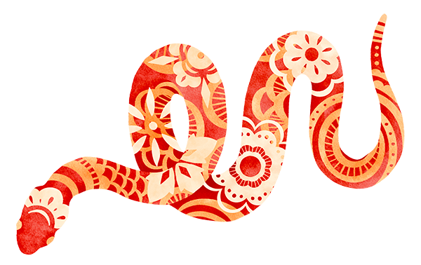 Year of the Snake Lunar New Year