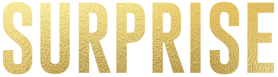 Surprise Party Invitation